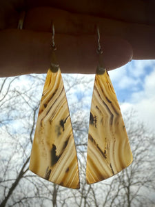 Montana Agate Earrings