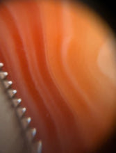 Load image into Gallery viewer, Lake Superior Agate Pendant