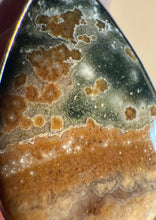 Load image into Gallery viewer, Ocean Jasper Earrings