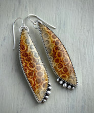 Load image into Gallery viewer, •Sunflower• Fossil Coral Earrings