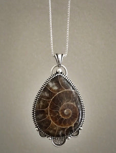 Ammonite Pendant