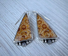 Load image into Gallery viewer, Fossil Coral Earrings