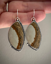 Load image into Gallery viewer, Picture Jasper Earrings