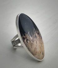 Load image into Gallery viewer, Petrified Palmwood Ring