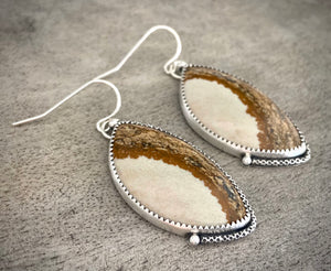 Picture Jasper Earrings