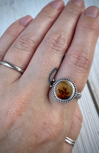 Scenic Agate Ring