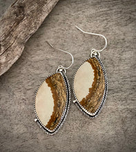 Load image into Gallery viewer, Picture Jasper Earrings