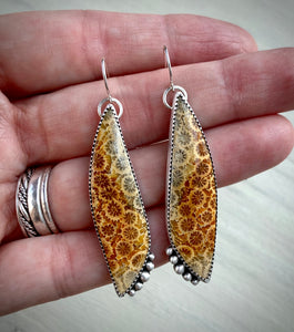 •Sunflower• Fossil Coral Earrings