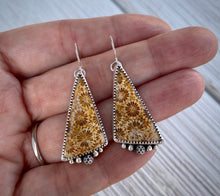 Load image into Gallery viewer, Fossil Coral Earrings